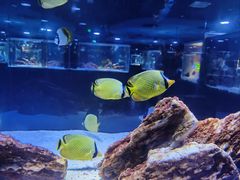 -海合安天津极地海洋公园
