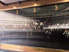 -上海银星皇冠假日酒店