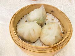 -沙田新强记烧鹅海鲜酒家