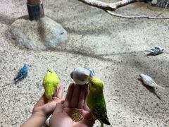 -上海大自然野生昆虫馆