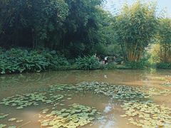 -广州市白云山风景名胜区