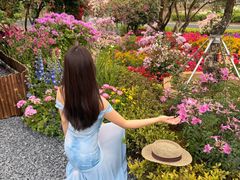 -东莞植物园