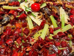 -老板恋上鱼(恒隆广场店)