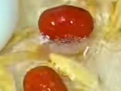 酸菜鱼-大铁勺新津菜(迎水道店)