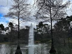 -丽池公园