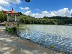 -深圳仙湖植物园