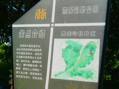 -白水寺森林公园