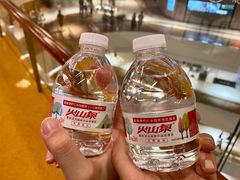 -喜鼎海胆水饺(平安金融中心店)