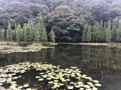 -广州市石门国家森林公园