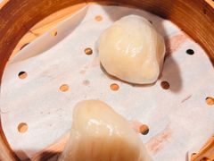 虾饺-镛记酒家