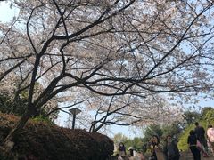-杭州少年儿童公园