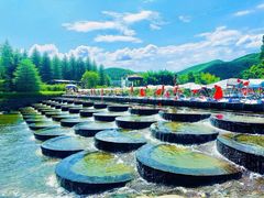 -莫干山风景区