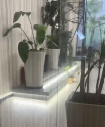 -蚂蚁造型俱乐部