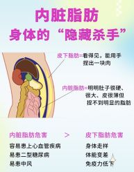 -Fundi张玉珊修身堂·indiba·BTL科技瘦身