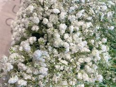 -蔚来中心(北京中关村店)