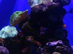 -大连圣亚海洋世界