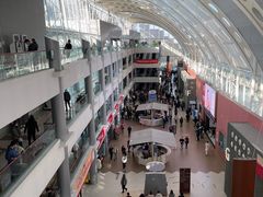 -上海市第一人民医院(松江南部)