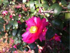 梦清园-苏州河梦清园环保主题公园