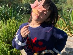 -三塔倒影公园