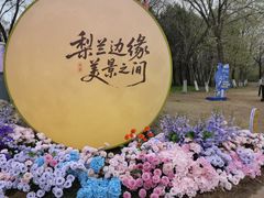 -江苏三台山国家森林公园