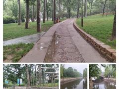 -元大都城垣遗址公园