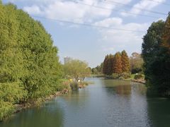 -九里河湿地公园