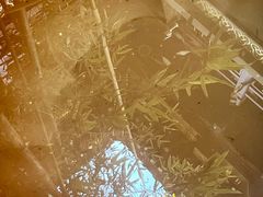 -罔极寺