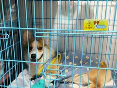 -一格照相馆(五道口店)