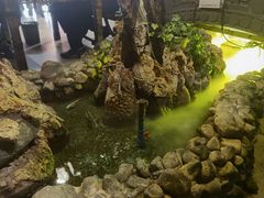 -庭院小酌(瑞莲街店)