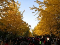 -辽宁大学(崇山校区)
