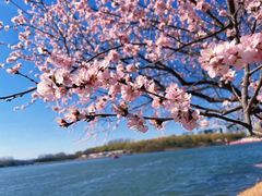 -大兴滨河森林公园