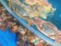 -蓝珊甄选海鲜自助·火锅大排档(近阿那亚店)