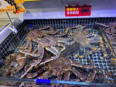 -开海·红岛海鲜虾水饺(石老人店)