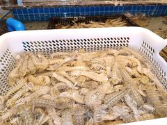 -一方渔歌蒸汽海鲜自助(文化路万达广场店)