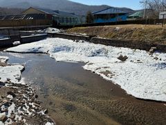 -横道河子东北虎林园
