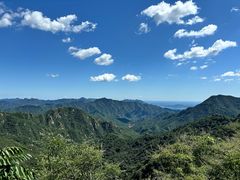 -大岭沟猕猴桃谷风景区