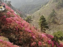 -木兰云雾山