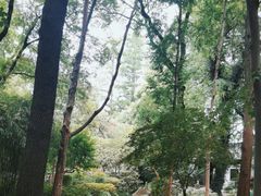 -汇龙潭