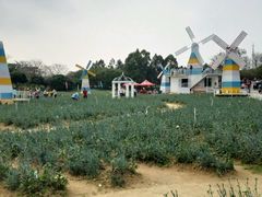 -松山湖梦幻百花洲