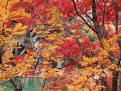 -叠溪松坪沟景区