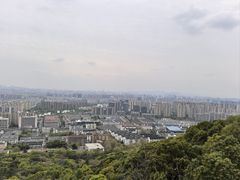 -杭州半山国家森林公园