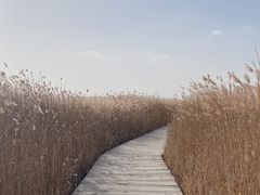 -野鸭湖国家湿地公园