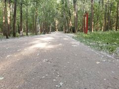 -廊坊市自然公园