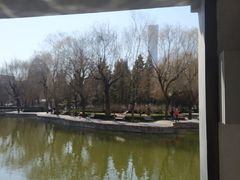 -团结湖公园