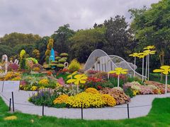 -上海共青森林公园