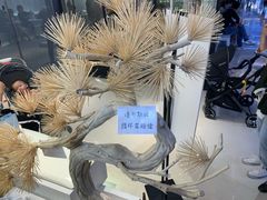 -KUNCHA鲲茶·江西制茶(铜锣湾店)