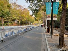 -上海欢乐谷-停车场