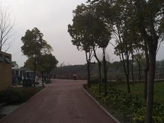 -嘉北郊野公园北游客中心-地上停车场
