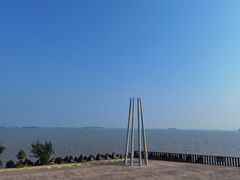 -上海滨江森林公园