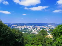 -火炉山森林公园